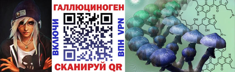 Псилоцибиновые грибы прущие грибы  Купить  Томск 